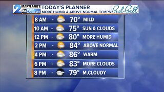 Above Average Temps