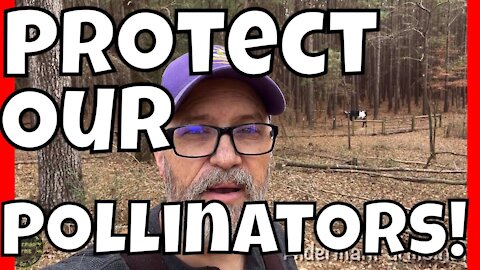 Protect Our Pollinators Part 3 | Best Plants for Pollinators | AldermanFarms