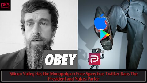 Silicon Valley Has the Monopoly on Free Speech as Twitter Bans The President and Nukes Parler