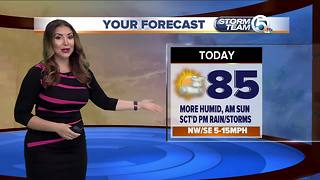 Friday midmorning forecast