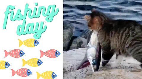 Fishing Day (Cats Series 1)