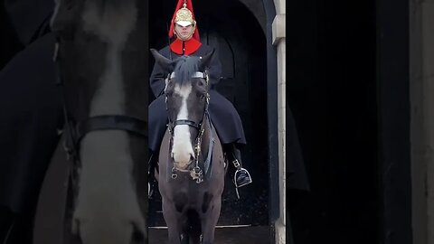 Driver passing by tries scare horse by bibbing car horn #horseguardsparade