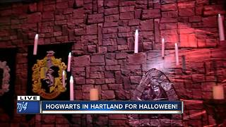 Hartland Halloween display sends trick-or-treaters into world of Harry Potter