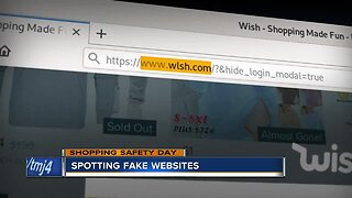 How to spot a fake website