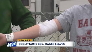 Brooklyn boy bit by dog while walking home from school, parents upset owner left without helping