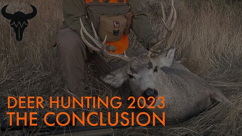 Deer Hunting 2023 - The Conclusion