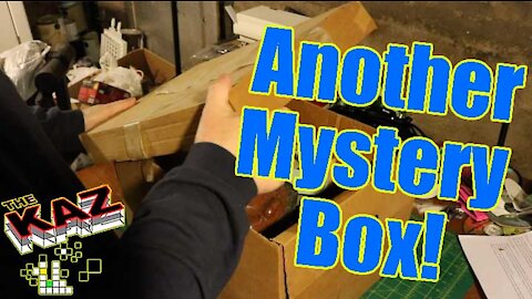 Find out What's Inside the Mystery Box!