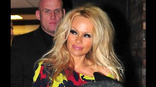 Pamela Anderson collects art to have 'a sexy life'
