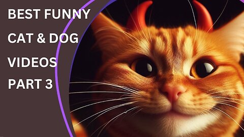 BEST FUNNY CAT & DOG VIDEOS PART 3