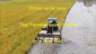 Thai farmers using tractor in a rice field in Thailand