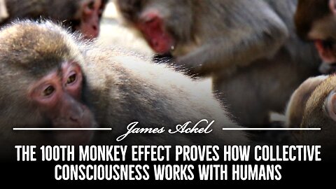 The 100th Monkey Effect proves how collective consciousness works with humans 🌎