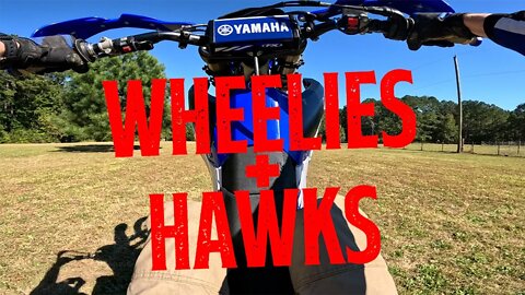 Wheelies on the YZ450FX + Chasing a Hawk