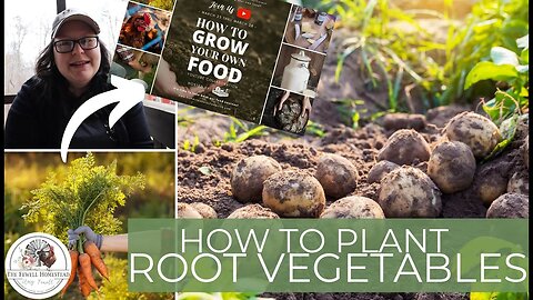 How to Grow Root Vegetables | Potatoes, Carrots & More | Grow Your Own Food Series