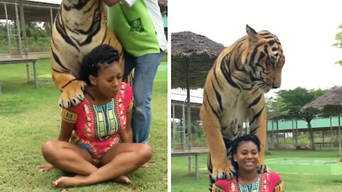 Girl posing for a photo with a cuddly tiger