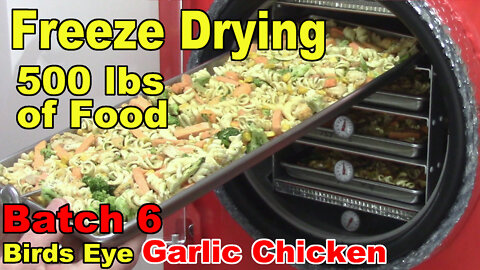 Freeze Drying Your First 500 lbs of Food - Batch 6 - Birds Eye Garlic Chicken w/ Pasta
