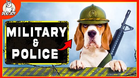 The Ultimate Dog Breeds for Military and Police!
