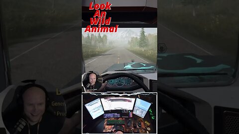 Look An Wild Animal #alaskanroadtruckers #RoadStudioSA #simulator #truck #shorts
