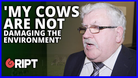 Culling cows will achieve nothing says MEP