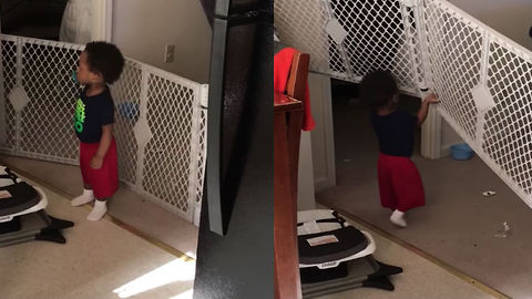 This Baby Gate Was NOT Built To Withstand This Kid's Strength!