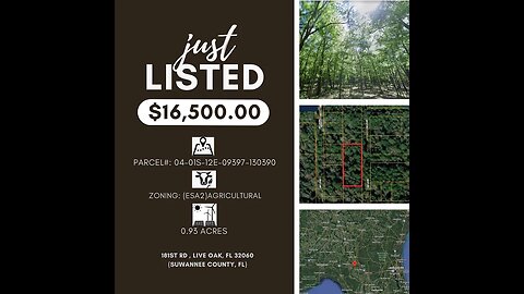 .93 ACRE LIVE OAK, FL UNDER $17K! WALKING DISTANCE TO SUWANEE RIVER! RURAL LIVING NEAR FL/GA LINE!