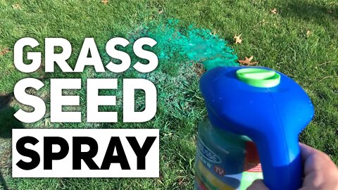 Spray Grass Seed with Hydro Mousse Liquid Lawn