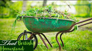 Plant Chores: Watering, weeding and Pest Control: Allotment Garden