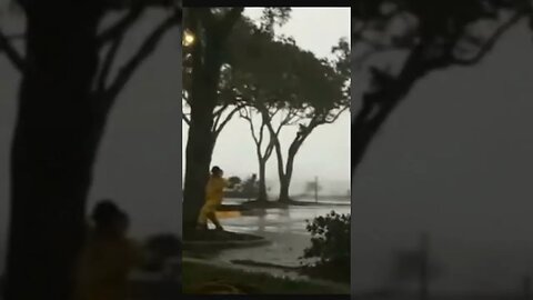 Hanging Onto A Tree In Hurricane Idalia #hurricane #hurricaneidalia