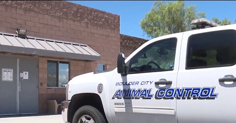 New effort underway to help Boulder City’s seniors with pets