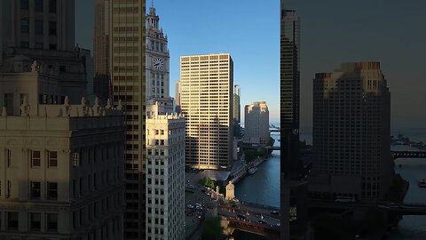 Best Terrace in Chicago!