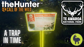 The Hunter: Call of the Wild, A Trap In Time, Te Awaroa- PS5 4K