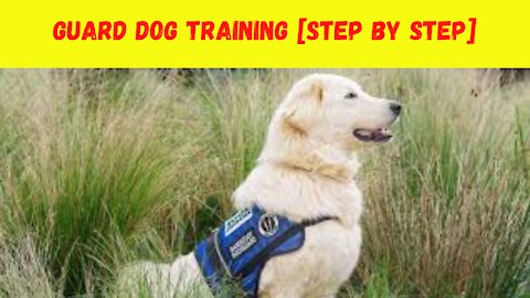 Guard Dog Training (Step by Step Tutorial)