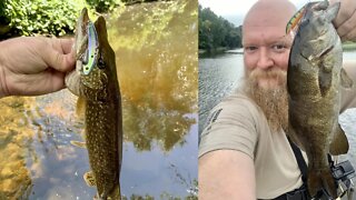 Random River Fishing /Jigging & Casting Blade Baits & Crank Baits / Dogfish, Pike & Bass