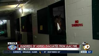 Hundred of horses evacuated from Lilac Fire