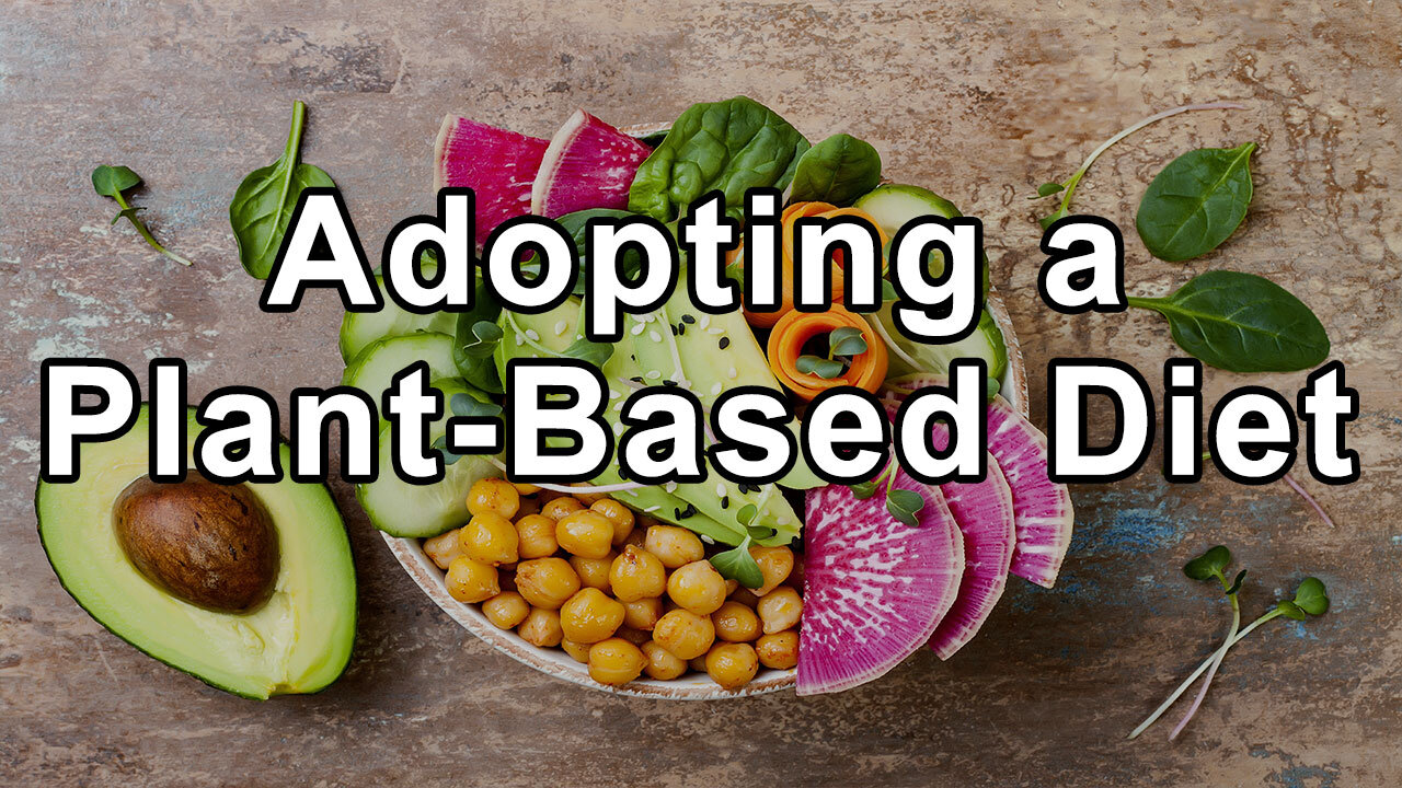 Numerous Health Benefits of Adopting a Plant-Based Diet - Julieanna ...