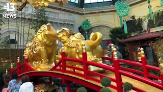 Year of the Ox display at Bellagio