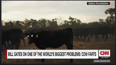 Bill Gates Tells CNN to Blame Cow Farts For Climate Change as Dutch Cattle Farmers Catch Fire