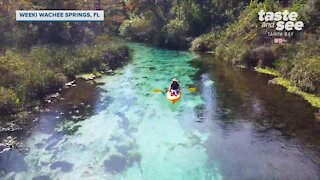 Weeki Wachee Springs is open for kayaking | Taste and See Tampa Bay