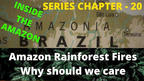Amazon Rainforest Fires Why should we care