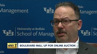 Boulevard Mall up for online auction