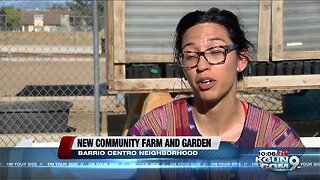 Former school transformed into new community farm and garden