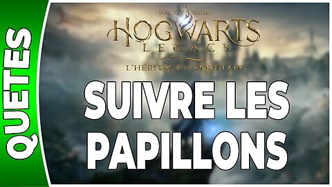 Hogwarts Legacy : l'Héritage de Poudlard - SUIVRE LES PAPILLONS - Annexe 16