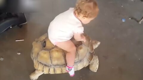 Cute baby rider in Tortoise || baby VS Tortoise