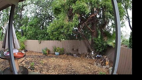 Hurricane Hilary from My Backyard, Alpine California