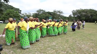 SOUTH AFRICA - Durban - Umthayi marula festival video's batch 4 (2fx)