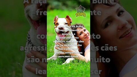 3 FATOS CURIOSOS sobre os cães #20 #shorts