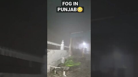 FOG IN PUNJAB | Weather Updates in Punjab #shorts #weathernews #shortsfeed