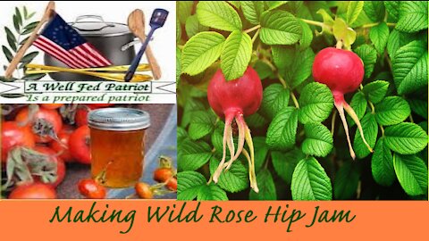 Making Wild Rose Hip Jam