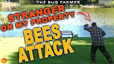 Bees Attack | Stranger on my property #beekeeping #bees #halloween #beekeeping101