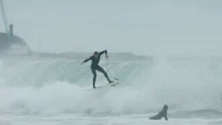 Une mauvaise vague renverse durement un surfeur