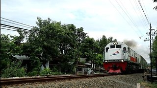 Kereta Api BRANTAS KA 175 Lokomotif CC 201 77 21 DIPO INDUK CN Melintas Desa Ketanon Tulungagung